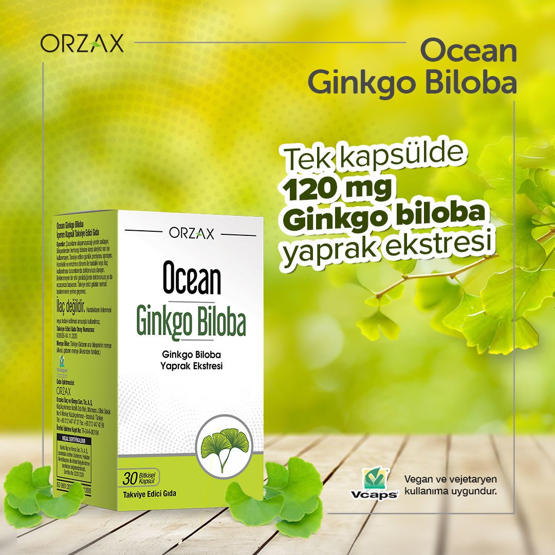 Ocean Ginkgo Biloba
